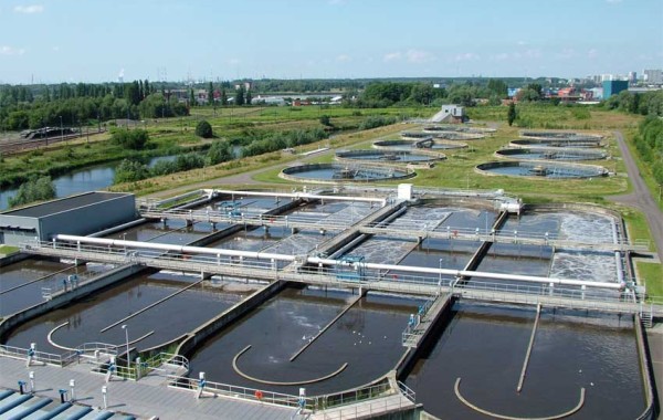 Proficiency testing (PT): Metals in sewage sludge