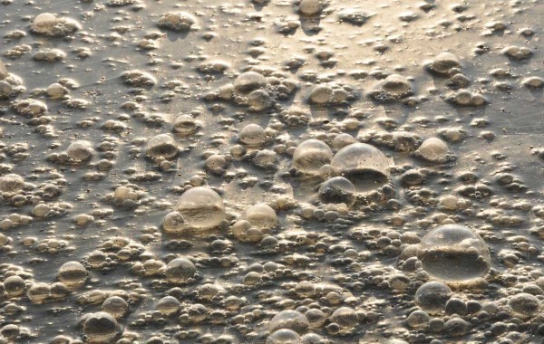 Interlaboratory Proficiency testing: Chemical & Physical-chemical parameters in wastewater