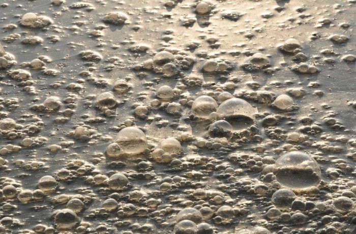 Interlaboratory Proficiency testing: Chemical & Physical-chemical parameters in wastewater